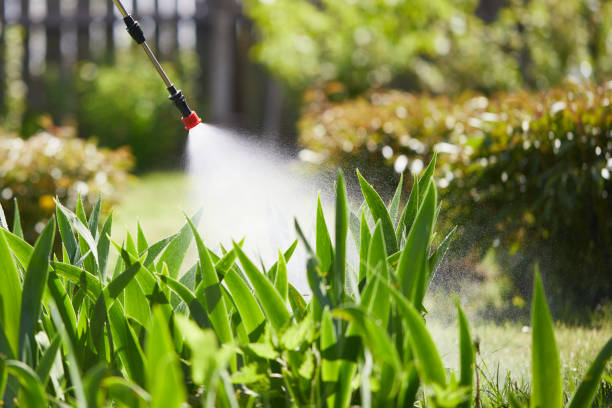 24/7 Emergency Wasp Removal experts in Lima, OH