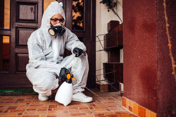 Reliable Wasp Removal contractor in Lima, OH by Show Me Pest Control
